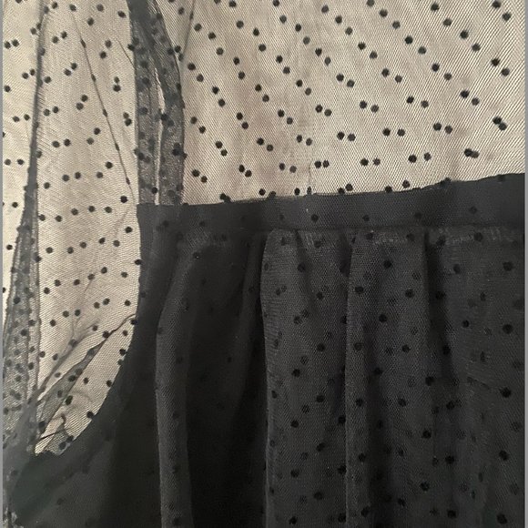 Banana Republic Sheer Polka Dot Long Sleeve Top- NWOT Size L - Picture 5 of 5